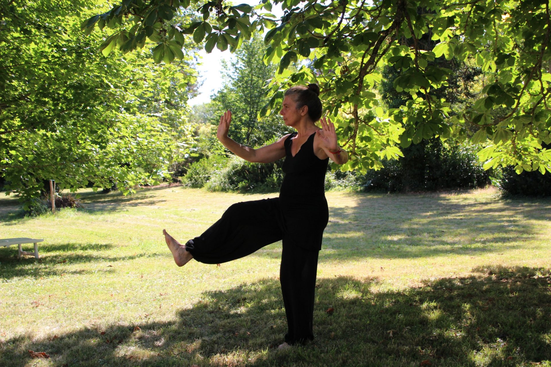 Woman practicing Tai Chi under a tree to achieve relaxation.