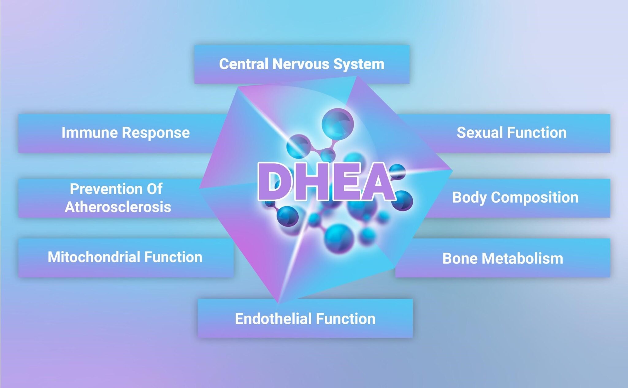 what-is-dhea-it-s-the-best-natural-best-stress-buster