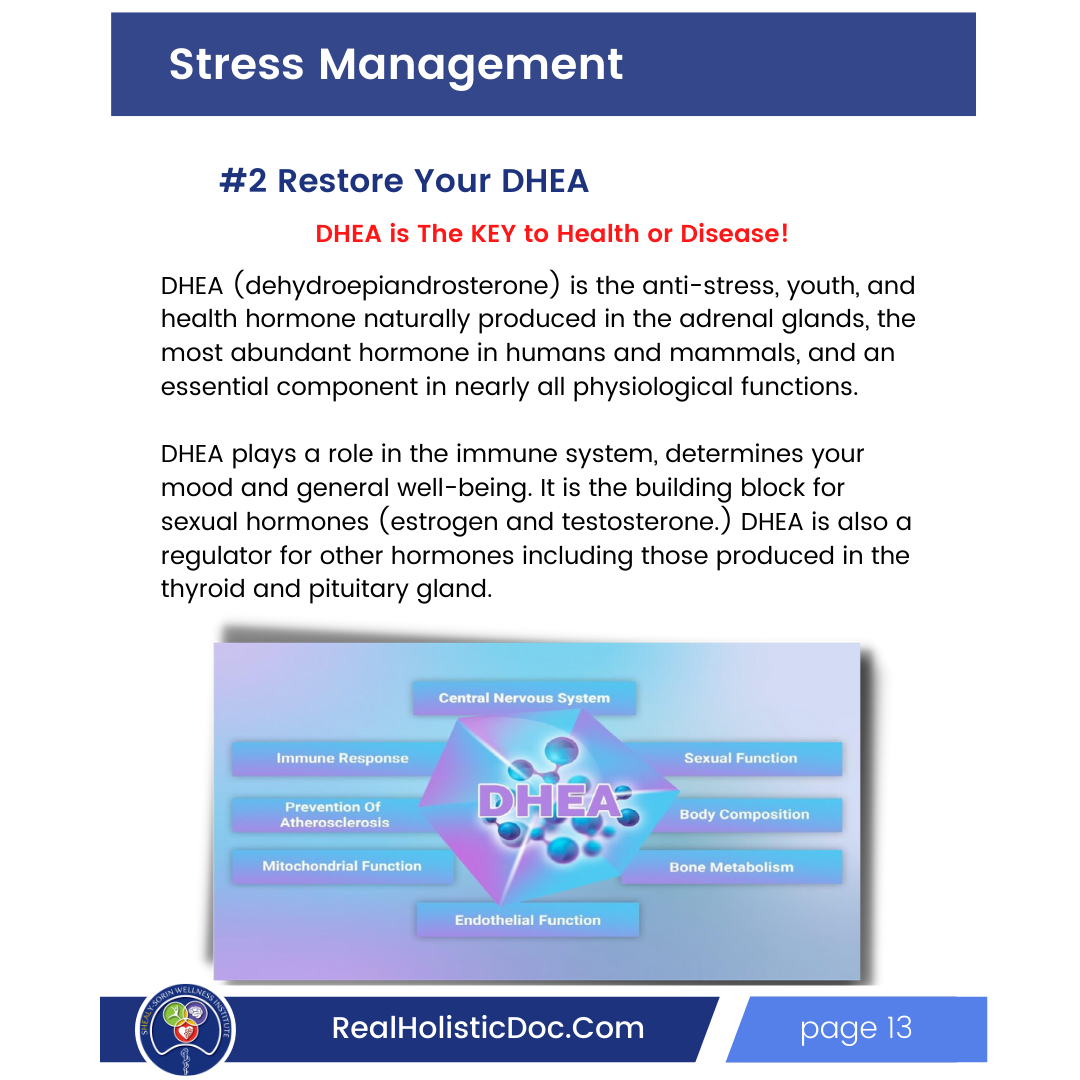 7 steps stress book (13)