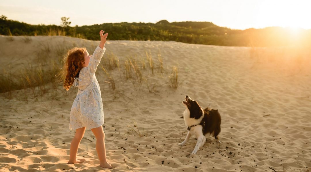 Happy little girl and dog playing together on the beach.